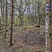 Hier der Plateauhochpunkt Obere Greuter.