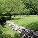 oben am Sattel zwischen Perun und Balin