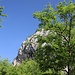 viel Wald, die Blicke gehen zunächst eher nach oben