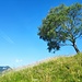Sul sentiero per la cima della Chiusarella