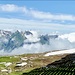 auf dem Hinterrugg...; zwischen den Windschutzverbauungen liegt noch viel Schnee im Juli