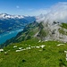 Tiefblick auf den Walensee...; rechter Hand noch 2,3 Churfistenberge... mit dem Schnüerliweg am Fusse der Churfirstenberge...