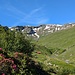 Weiter ging es zu Fuss hoch in Richtung Pass da Surcarungas.