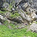 Uschi am Beginn der seilgesicherten Passage