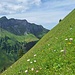 Die steilen Grashänge Usser Wasser