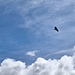 Über den Wolken ..... 