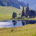Gräppelensee im Zoom...