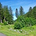 kurz nach Unterschwendi fahren wir in den Bauwald und umfahren das Schwendigrot...