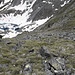 Tiefblick zum Schwarzmoossee.