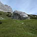 Ein alternativer Zustieg wäre, auf dem Hölltorsteig länger anzusteigen bis zu diesem markanten Felsen und dann auf Steigspuren schräg ansteigend zurückzuqueren zum Grashang östlich der Schuttrinne
