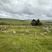 The Braaid, ein weiterer Steinkreis auf dem Gebiet, wo einst eine keltische Siedlung stand
