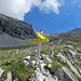 An der Wegverzweigung gibt's dann tatsächlich ein Schild: links zur Sonntagkarspitze, rechts zur Hinteren Bachofenspitze.  Beides schwarz markiert.  Passt, wie biegen also mal links ab und kommen rechts wieder runter.