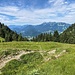 der Steig hat immer wieder schöne Wiesenabschnitte, hier mit Blick zur Benediktenwandgruppe