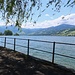 Au bord du lac à Sachseln