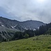 auf der Weidefläche oberhalb der Gartneralm