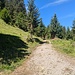Wanderwegkreuzung von Obergarten und Lähn