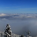 Panorama from Albishorn looking towards Zurich, Alpstein and Churfirsten on the right horizon