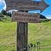 Almkäserei und Jausenstation Stubenalm - Angebot Käse zum Mitnehmen