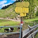 Wegweiser an der Unteren Schnappenalm, ertmalige Angabe Unterberghorn - Route mit dem schwarzen Punkt