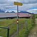 nochmal der Hinweis auf Sackgasse
