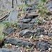 Letzte halbwegs intakte Treppe des einstigen Talwegs im Valle di Nibbio.