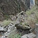 Im Bergsturzgelände