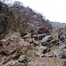 Im Bergsturzgelände. Blick talaufwärts.