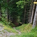 auf dem Pfad geht es weiter hinab