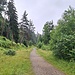 Auf dem Rundweg zum Kratersee