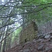 Prime rovine.