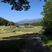 Paysage entre Brienzwiler et Hofstetten, avec le Brienzergrat au fond