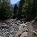 Ravin entre Brienz et Oberried