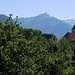 Ringgenberg