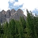 Die Dreifingerspitze zeigt sich.