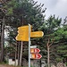 Entre Glis et l'entrée du Nanztal