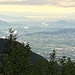 Aussicht vom Gonzen Richtung Bodensee
