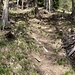 Steil führt der Wanderweg aufwärts