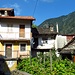 Cicogna
