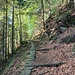 Weg zur Alpe Cima