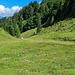 erster Betonring und Schlepperweg