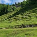 direkt zur oberen Etage (Fahrpiste zur Unteren Schnappenalm) theoretisch möglich, mir war es zu steil und schwül