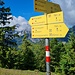 jeweils 20 min hinab zur Stubenalm und hinauf zur Unteren Schnappenalm