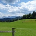 Ausblick auf' s Karwendel vom Gschwandtnerbauern