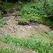 Schwillt bei jedem Gewitter, also zur Zeit täglich, kräftig an: Altenbach