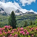 Blick zum Guraletschhorn