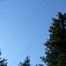 Unter Strom geht' s zum Dimpl