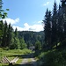 Rückblick auf den Bauernhof