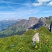 Chli Alvier: Gipfelstein und hinten die Churfirsten ..