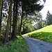 auf den Weg nach Nistelbüel