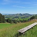 ein wunderbarer "Hochsitz" oberhalb Nistelbüel